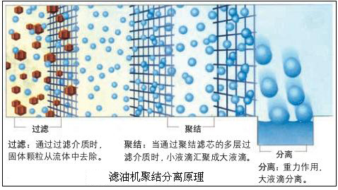 柴油滤油机